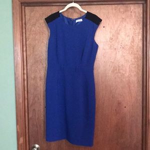 Calvin Klein Blue & Black Dress